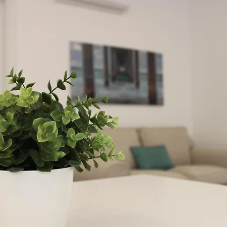 Apartment Parque Dos Pastores Fatima